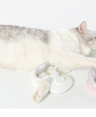 Self-cleaning wire brush for pets