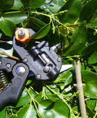 Grafting Shears For Gardening