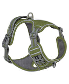 Pets out chest strap