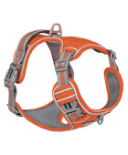 Pets out chest strap